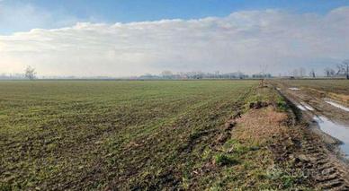 RGE 381/2023 Tribunale Verona - Lotto 9)