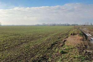 RGE 381/2023 Tribunale Verona - Lotto 9)