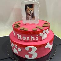 Torta scenografica compleanno cane vari animali