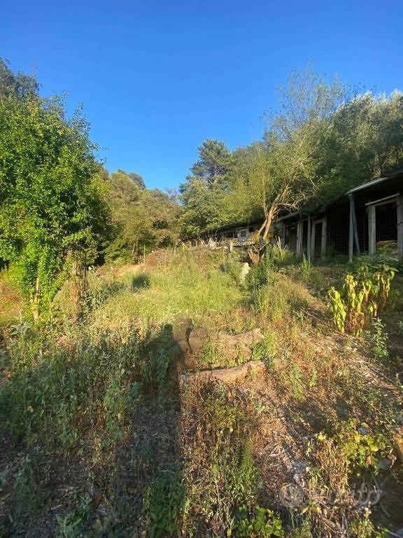 Terreno di 6000 m² a Albenga - Altro