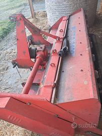 Trinciastocchi becchio e mandrile