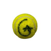 Pallina Carlos Alcaraz Autografata - Tennis