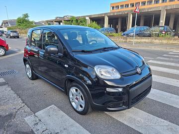 FIAT Panda 1.0 Hybrid 70CV CITY LIFE - GARANTITA