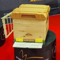 Arnia da 10 in kit Apimaye 