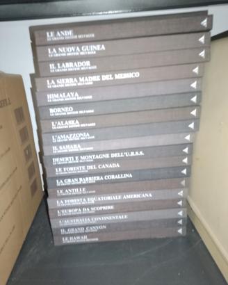 Mondadori collana completa luoghi dal mondo 
