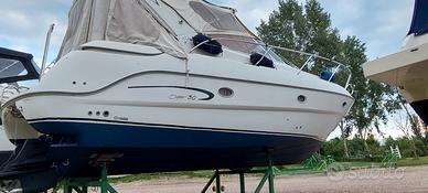 Sessa Oyster 30