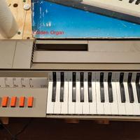 Tastiera Golden Organo Antonelli 2310