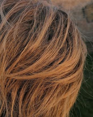 Parrucca naturale Revlon