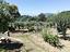 Immagine 29