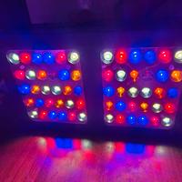 Lampada coltivazione 300w