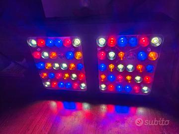 Lampada coltivazione 300w