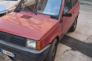 Auto FIAT Panda Yang 