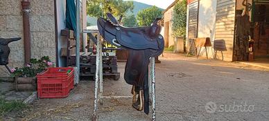 sella Billy cook