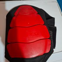 paraschiena dainese 