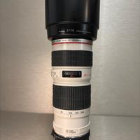 Canon EF 70-200 F4 L + sigma mc11 EF to FE