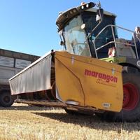 Marangon 6mt completa di carrello Claas