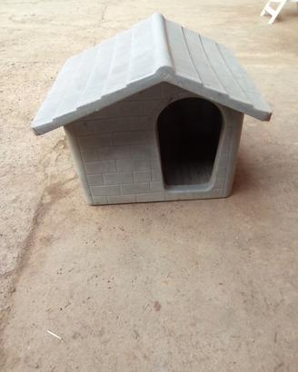 Cuccia cane