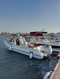 Revenger 25.50 Highlander 2014 - Honda 250CV