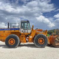 Pala gommata FIAT HITACHI FR 220 A 2T