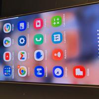 s21 plus con cover quad lock