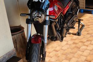 benelli leoncino 500