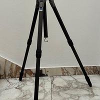 Cavalletto Gitzo G 1349MK2 + testa Gitzo G 1270