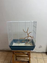 Gabbia per uccellini