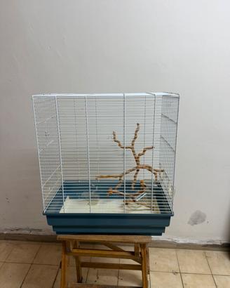 Gabbia per uccellini