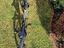 Immagine 5