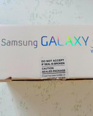 Smartphone Samsung Galaxy Y