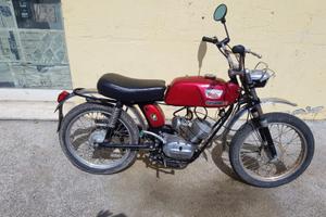 Morini Corsarino scrambler