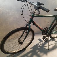 Mountain Bike California 