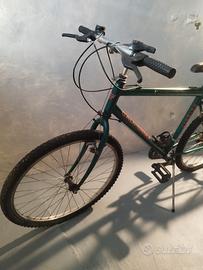 Mountain Bike California 