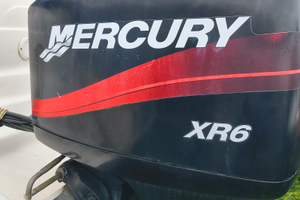 Fuoribordo Mercury 150 cv