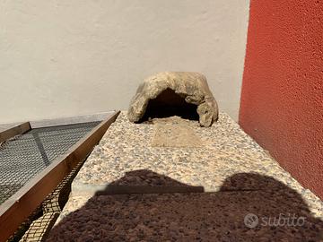 Casetta per tartarughe
