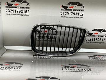 Griglia paraurti anteriore griglia radiatore sinis