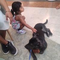 Leo Nero con calzini nelle zampette