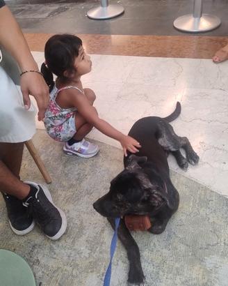 Leo Nero con calzini nelle zampette