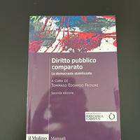 Diritto comparato, Tommaso Edoardo Frosini