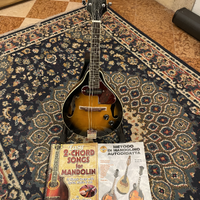 Mandolino elettrificato Aria Am20e