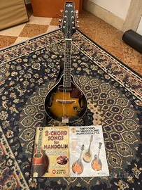 Mandolino elettrificato Aria Am20e