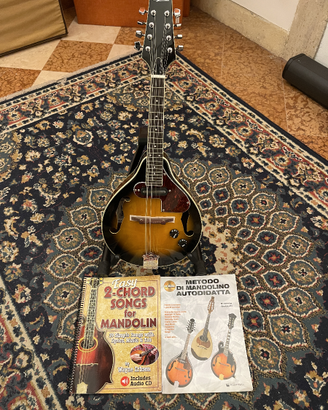 Mandolino elettrificato Aria Am20e