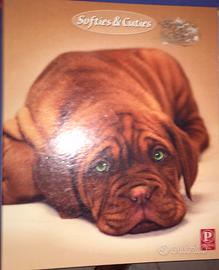 Raccoglitori ad anelli.