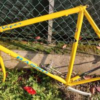 telaio acciaio basso viper