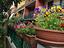 Immagine 14