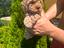 Immagine 6