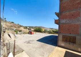 RGE 24/2024 Trib ENNA