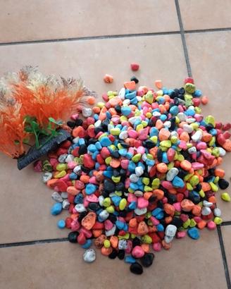 Articoli per acquario