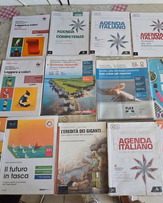 Libri di prima e seconda liceo scienze umane Pisa