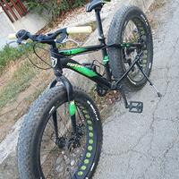 FAT BIKE